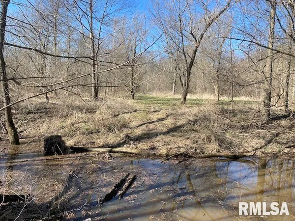 $44,000 | 0 Hazel Dell Road, Greenup, IL 62428