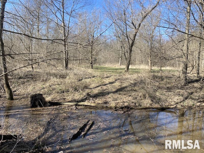 0 Hazel Dell Road Greenup, IL 62428 - Photo 28 of 61