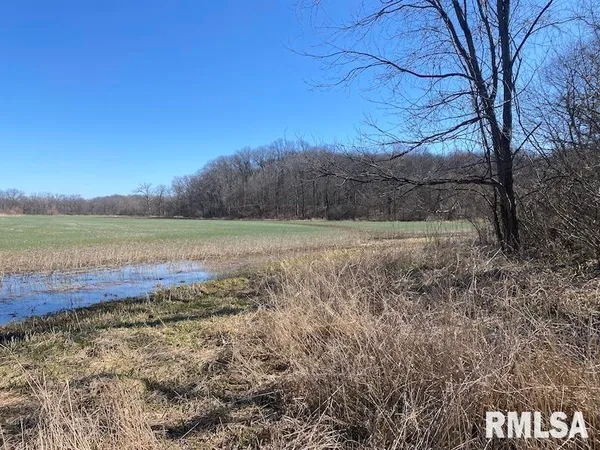 $44,000 | 0 Hazel Dell Road, Greenup, IL 62428