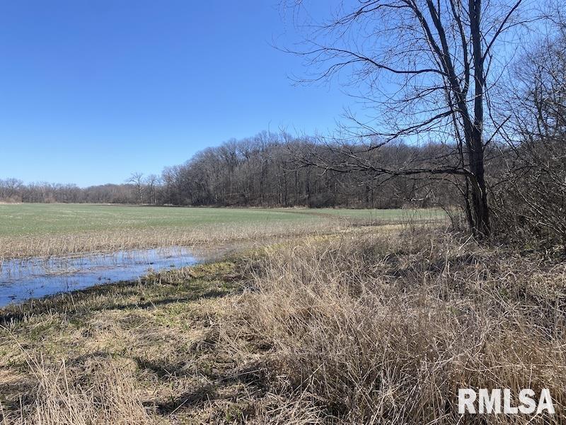 0 Hazel Dell Road Greenup, IL 62428 - Photo 29 of 61