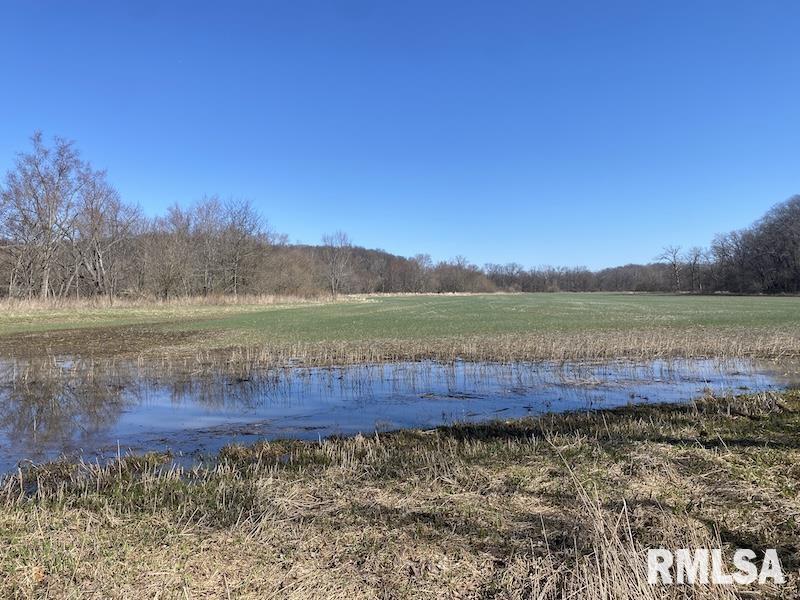 0 Hazel Dell Road Greenup, IL 62428 - Photo 30 of 61