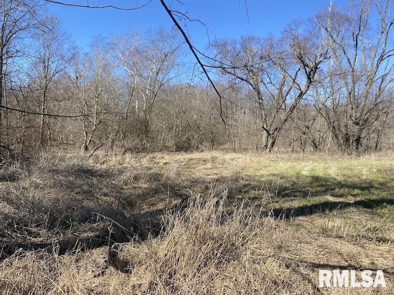 0 Hazel Dell Road Greenup, IL 62428 - Photo 31 of 61