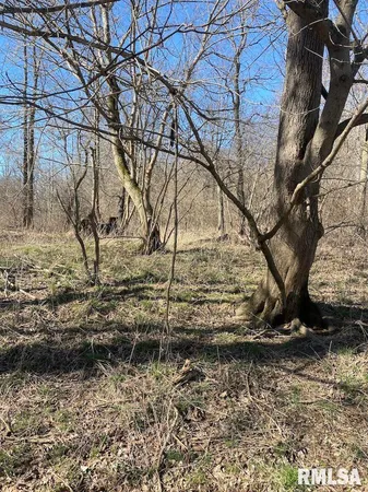 $44,000 | 0 Hazel Dell Road, Greenup, IL 62428