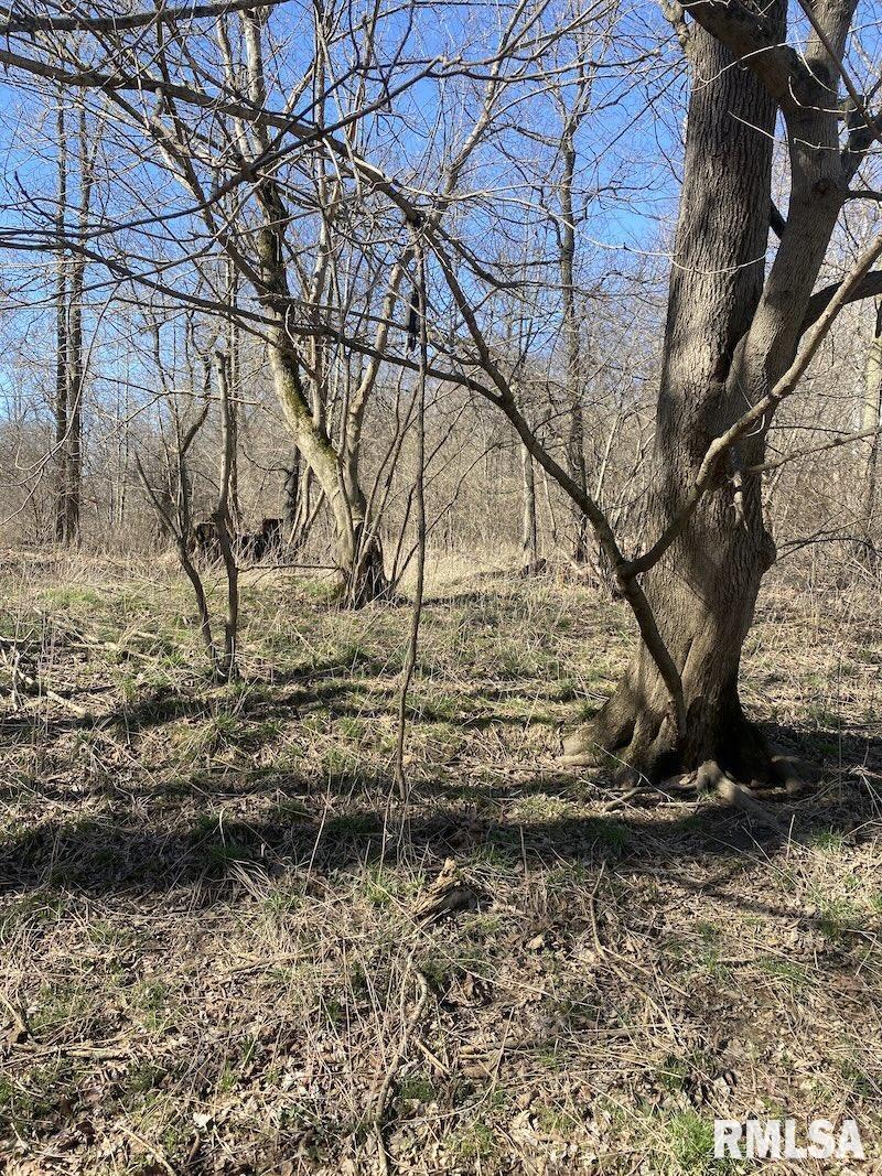 0 Hazel Dell Road Greenup, IL 62428 - Photo 32 of 61