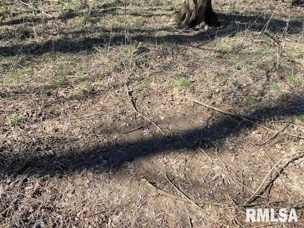 $44,000 | 0 Hazel Dell Road, Greenup, IL 62428