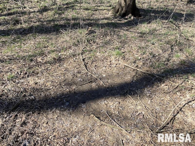 0 Hazel Dell Road Greenup, IL 62428 - Photo 33 of 61