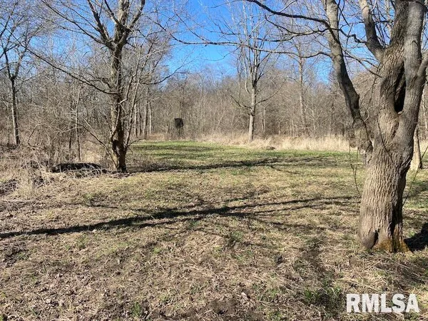 $44,000 | 0 Hazel Dell Road, Greenup, IL 62428