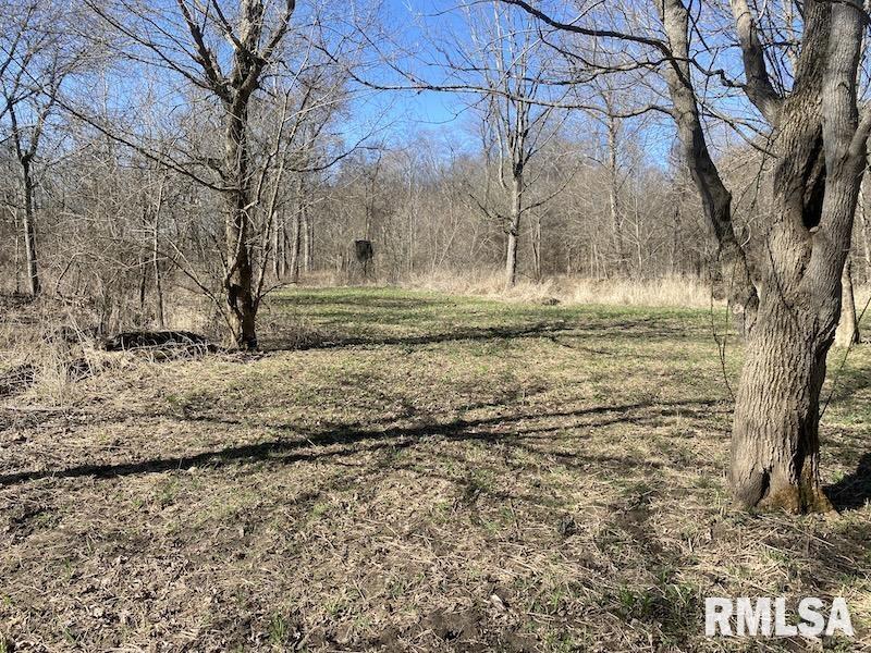 0 Hazel Dell Road Greenup, IL 62428 - Photo 35 of 61