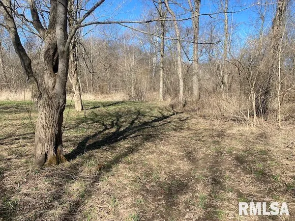 $44,000 | 0 Hazel Dell Road, Greenup, IL 62428