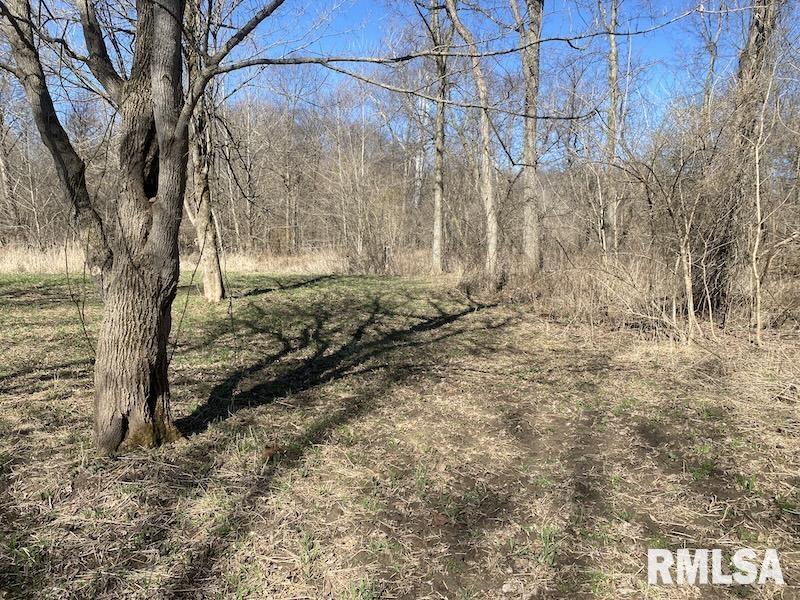 0 Hazel Dell Road Greenup, IL 62428 - Photo 36 of 61