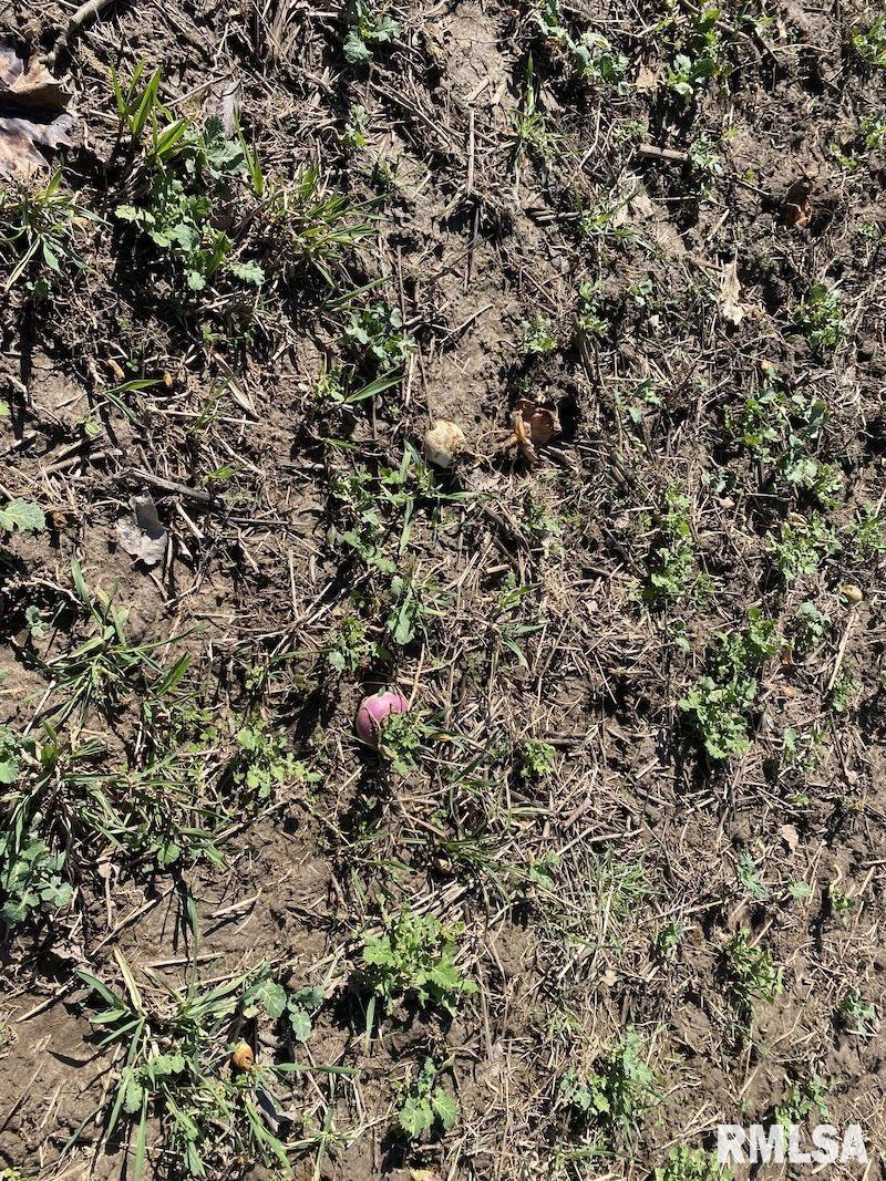 0 Hazel Dell Road Greenup, IL 62428 - Photo 37 of 61