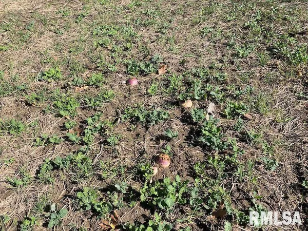 $44,000 | 0 Hazel Dell Road, Greenup, IL 62428