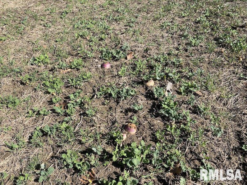 0 Hazel Dell Road Greenup, IL 62428 - Photo 38 of 61