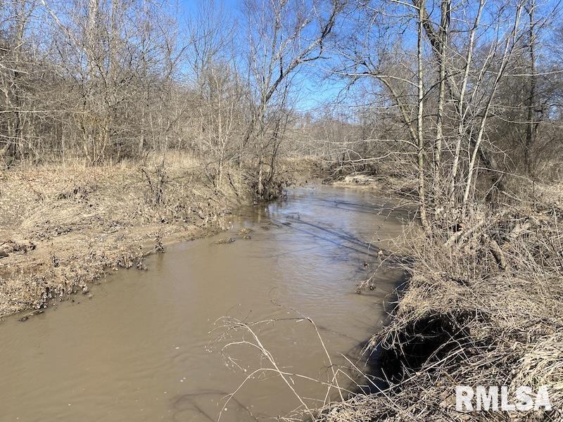 0 Hazel Dell Road Greenup, IL 62428 - Photo 39 of 61