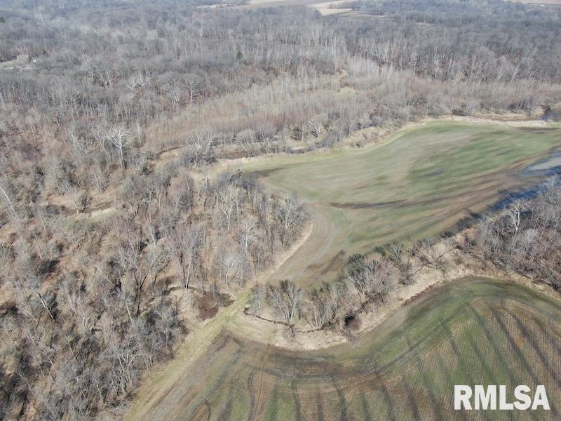 0 Hazel Dell Road Greenup, IL 62428 - Photo 4 of 61