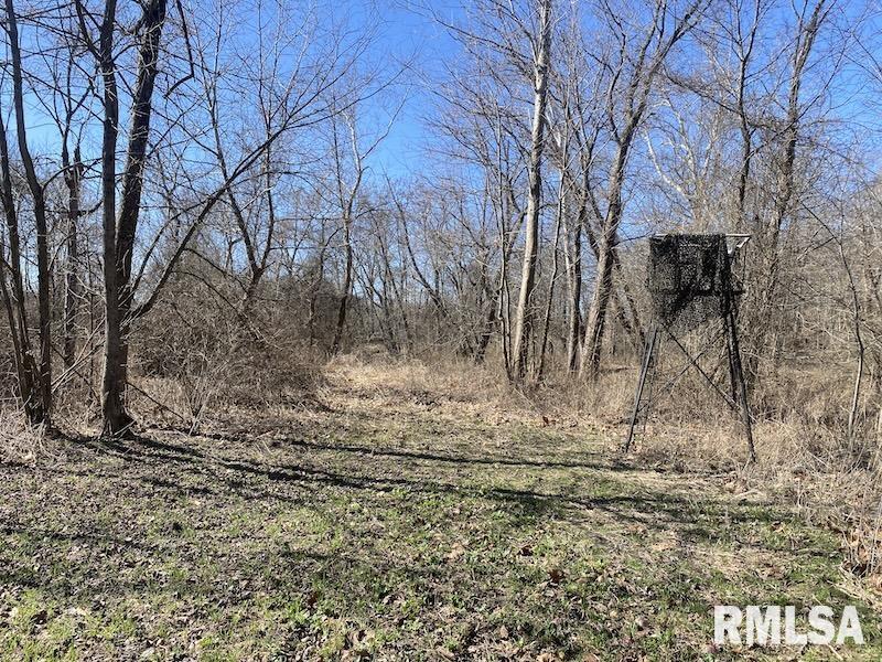 0 Hazel Dell Road Greenup, IL 62428 - Photo 41 of 61