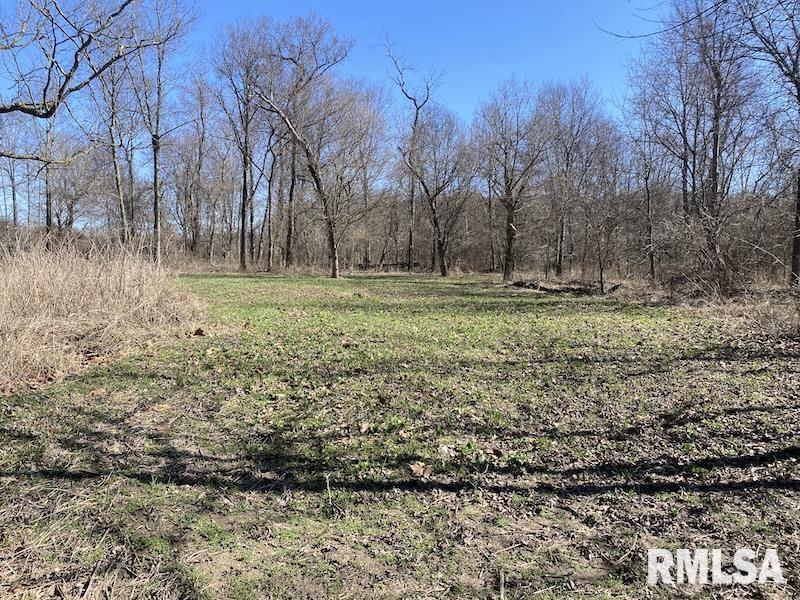 0 Hazel Dell Road Greenup, IL 62428 - Photo 42 of 61