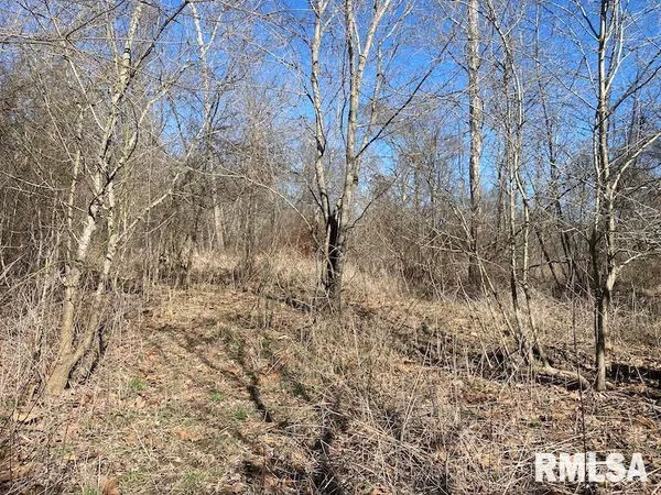 $44,000 | 0 Hazel Dell Road, Greenup, IL 62428