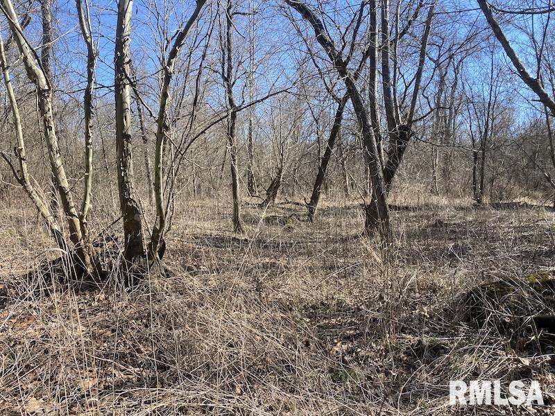 0 Hazel Dell Road Greenup, IL 62428 - Photo 44 of 61