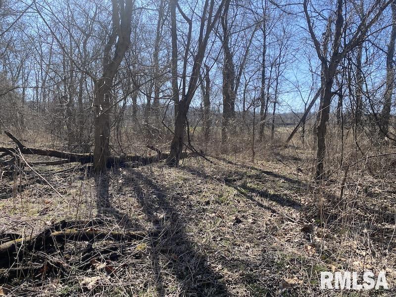 0 Hazel Dell Road Greenup, IL 62428 - Photo 45 of 61