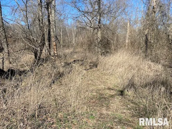 $44,000 | 0 Hazel Dell Road, Greenup, IL 62428