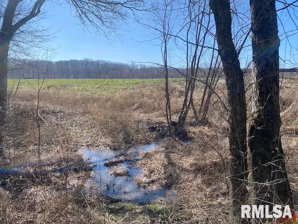 $44,000 | 0 Hazel Dell Road, Greenup, IL 62428