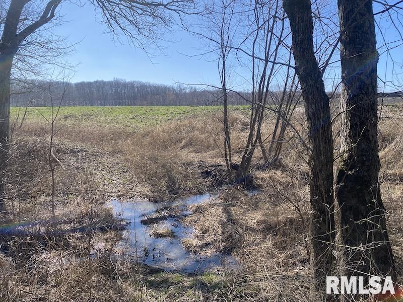 0 Hazel Dell Road Greenup, IL 62428 - Photo 47 of 61