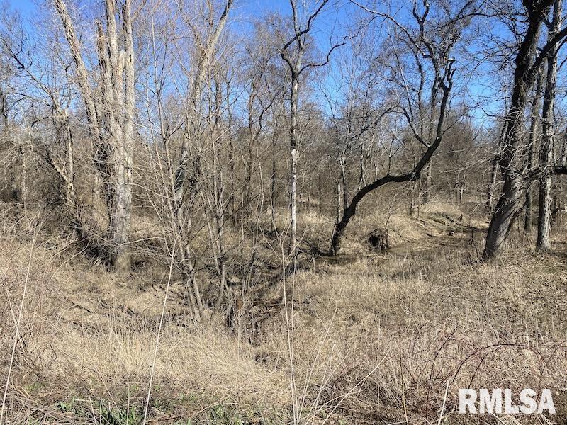 0 Hazel Dell Road Greenup, IL 62428 - Photo 50 of 61