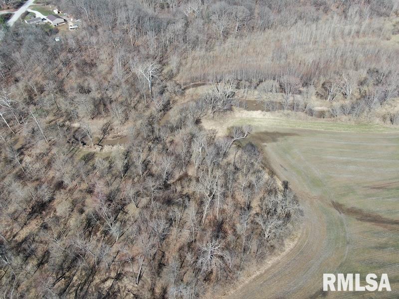 0 Hazel Dell Road Greenup, IL 62428 - Photo 5 of 61