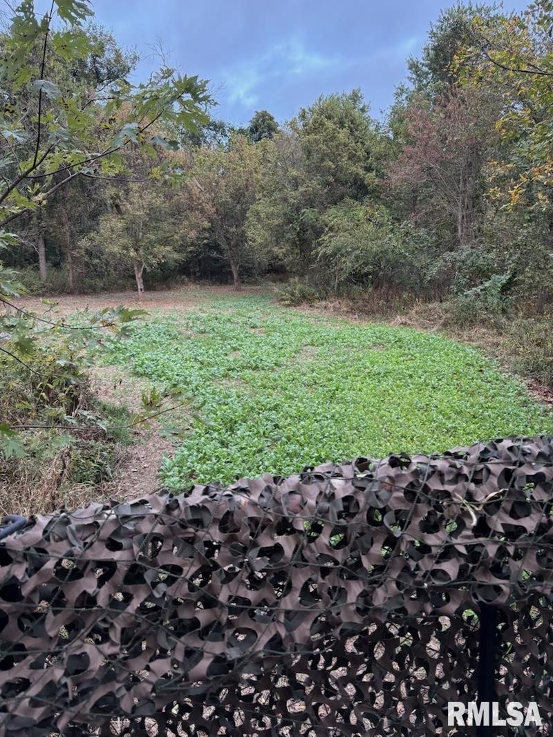 0 Hazel Dell Road Greenup, IL 62428 - Photo 51 of 61