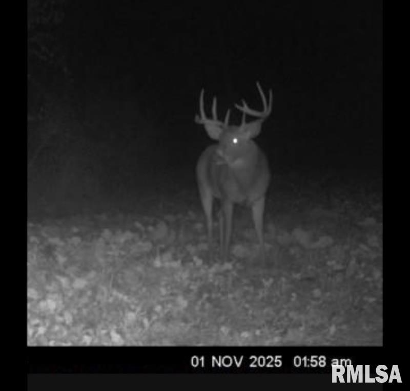 0 Hazel Dell Road Greenup, IL 62428 - Photo 52 of 61