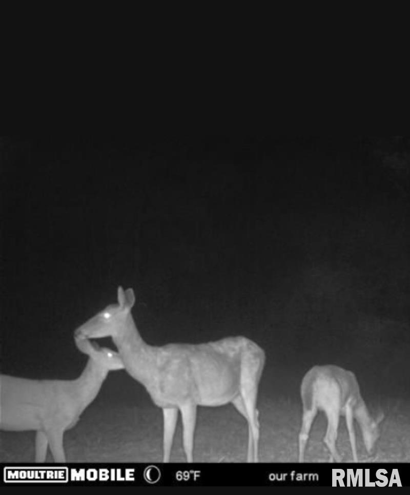 0 Hazel Dell Road Greenup, IL 62428 - Photo 53 of 61