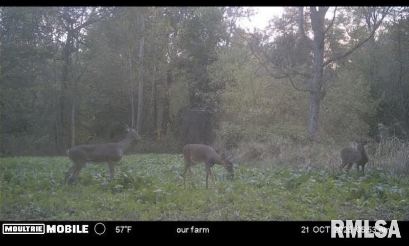 0 Hazel Dell Road Greenup, IL 62428 - Photo 54 of 61