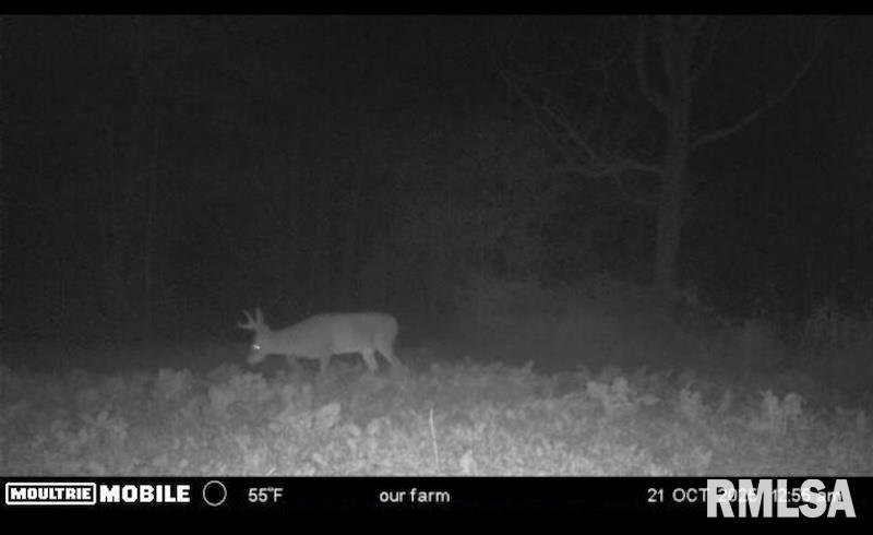 0 Hazel Dell Road Greenup, IL 62428 - Photo 55 of 61