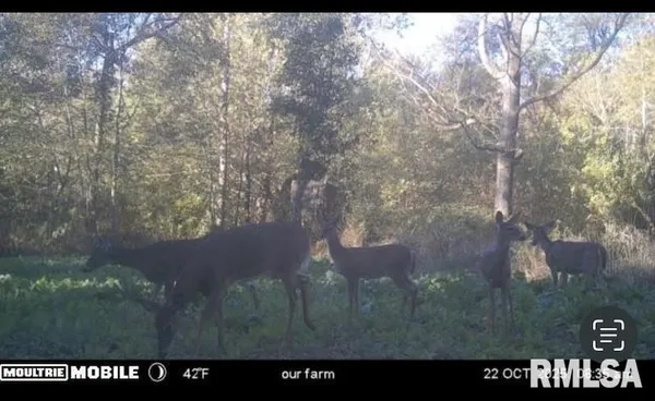 $44,000 | 0 Hazel Dell Road, Greenup, IL 62428