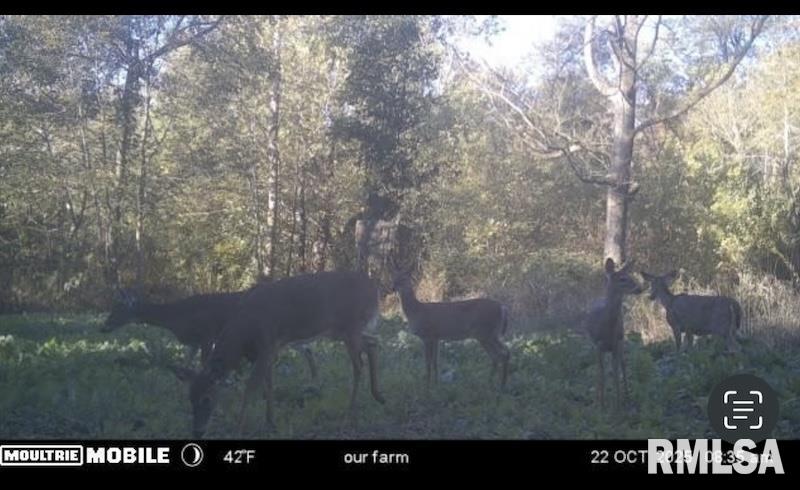 0 Hazel Dell Road Greenup, IL 62428 - Photo 56 of 61