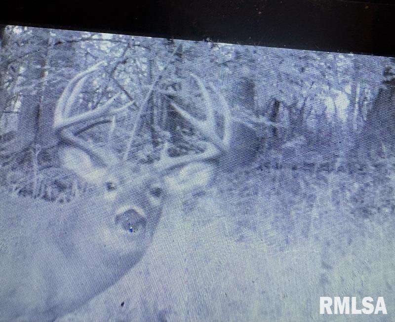 0 Hazel Dell Road Greenup, IL 62428 - Photo 57 of 61