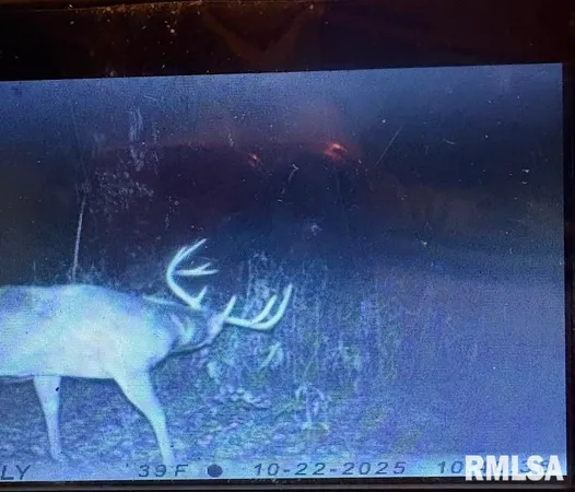 $44,000 | 0 Hazel Dell Road, Greenup, IL 62428