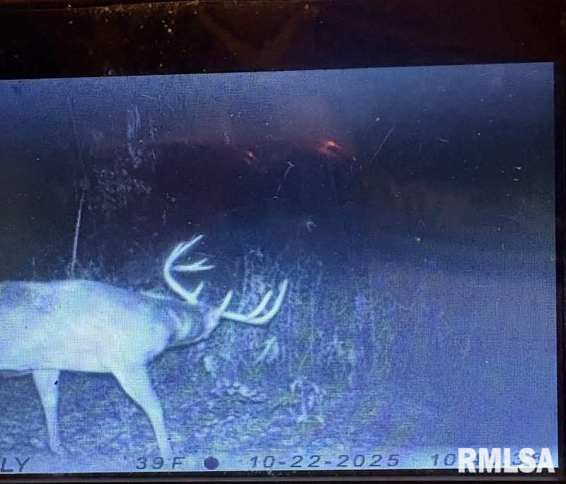 0 Hazel Dell Road Greenup, IL 62428 - Photo 58 of 61