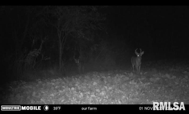 0 Hazel Dell Road Greenup, IL 62428 - Photo 59 of 61