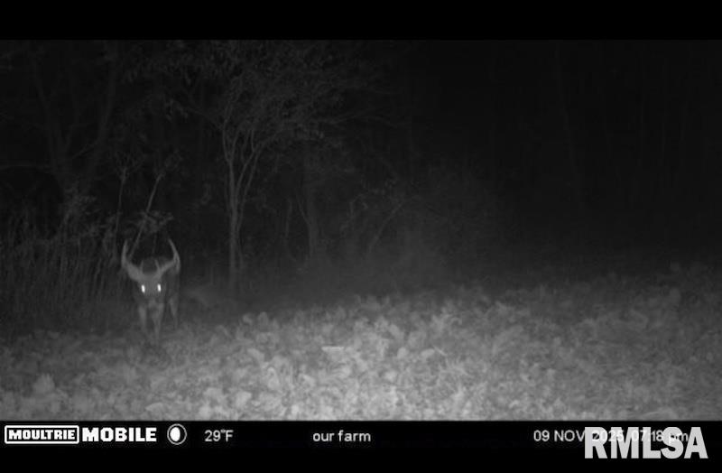 0 Hazel Dell Road Greenup, IL 62428 - Photo 60 of 61