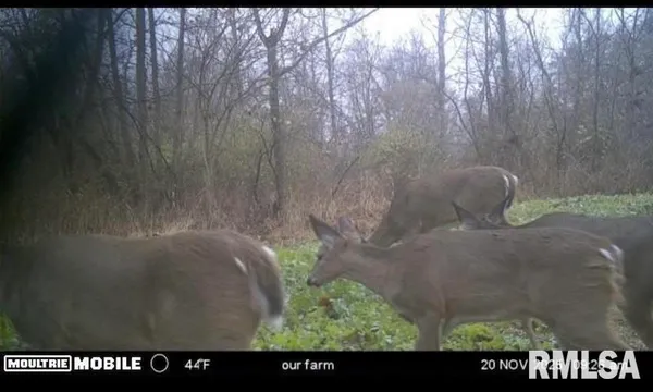 $44,000 | 0 Hazel Dell Road, Greenup, IL 62428