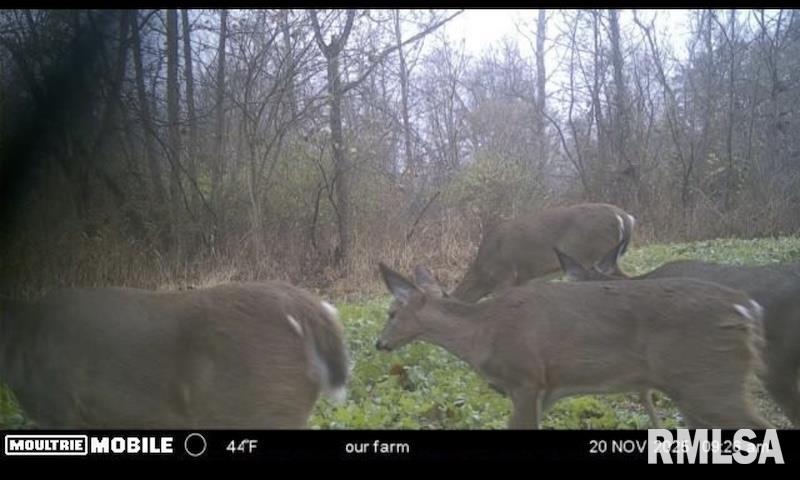 0 Hazel Dell Road Greenup, IL 62428 - Photo 61 of 61