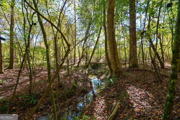 $417,000 | 1 Bridges Road, Carlton, GA 30627