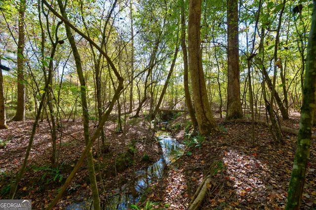 $417,000 | 1 Bridges Road, Carlton, GA 30627