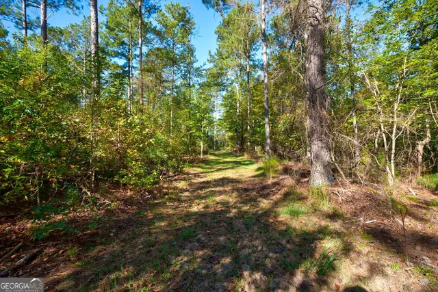 $417,000 | 1 Bridges Road, Carlton, GA 30627