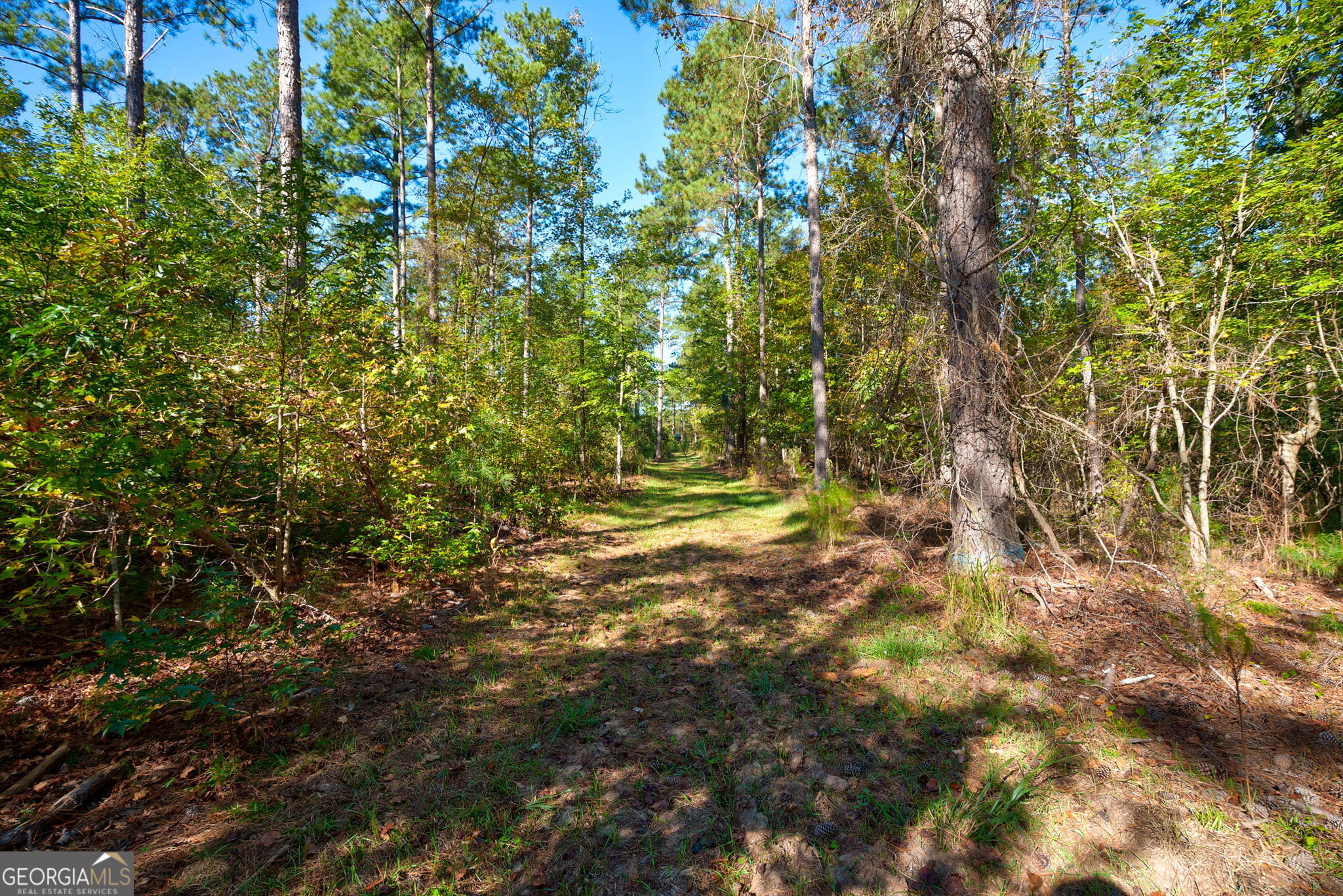 1 Bridges Road Carlton, GA 30627 - Photo 11 of 33