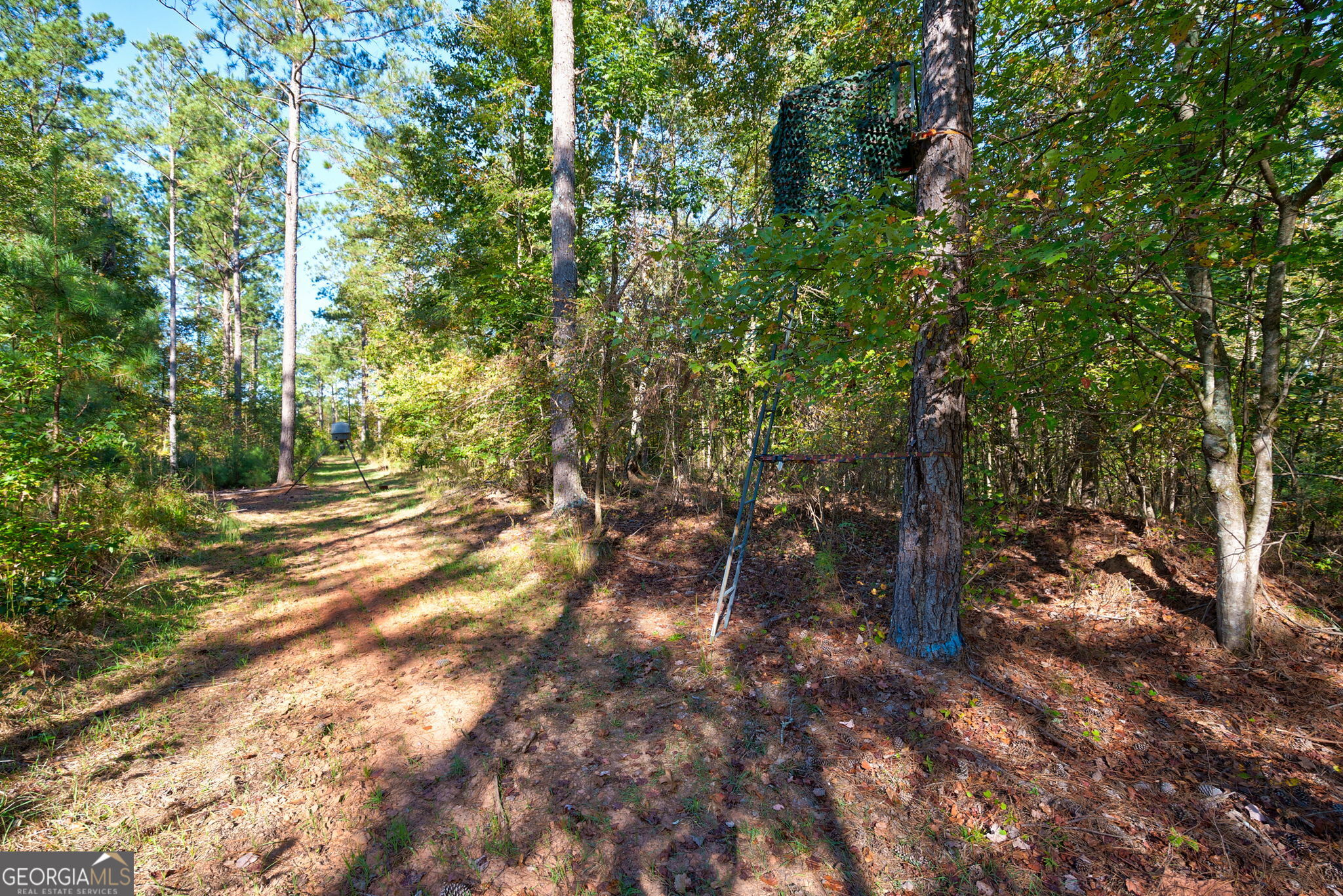 1 Bridges Road Carlton, GA 30627 - Photo 12 of 33