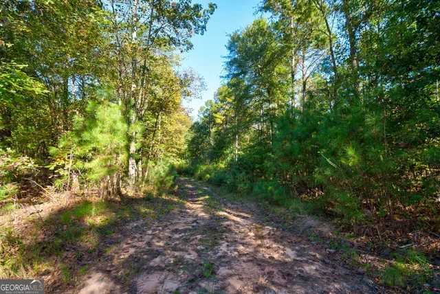 $417,000 | 1 Bridges Road, Carlton, GA 30627