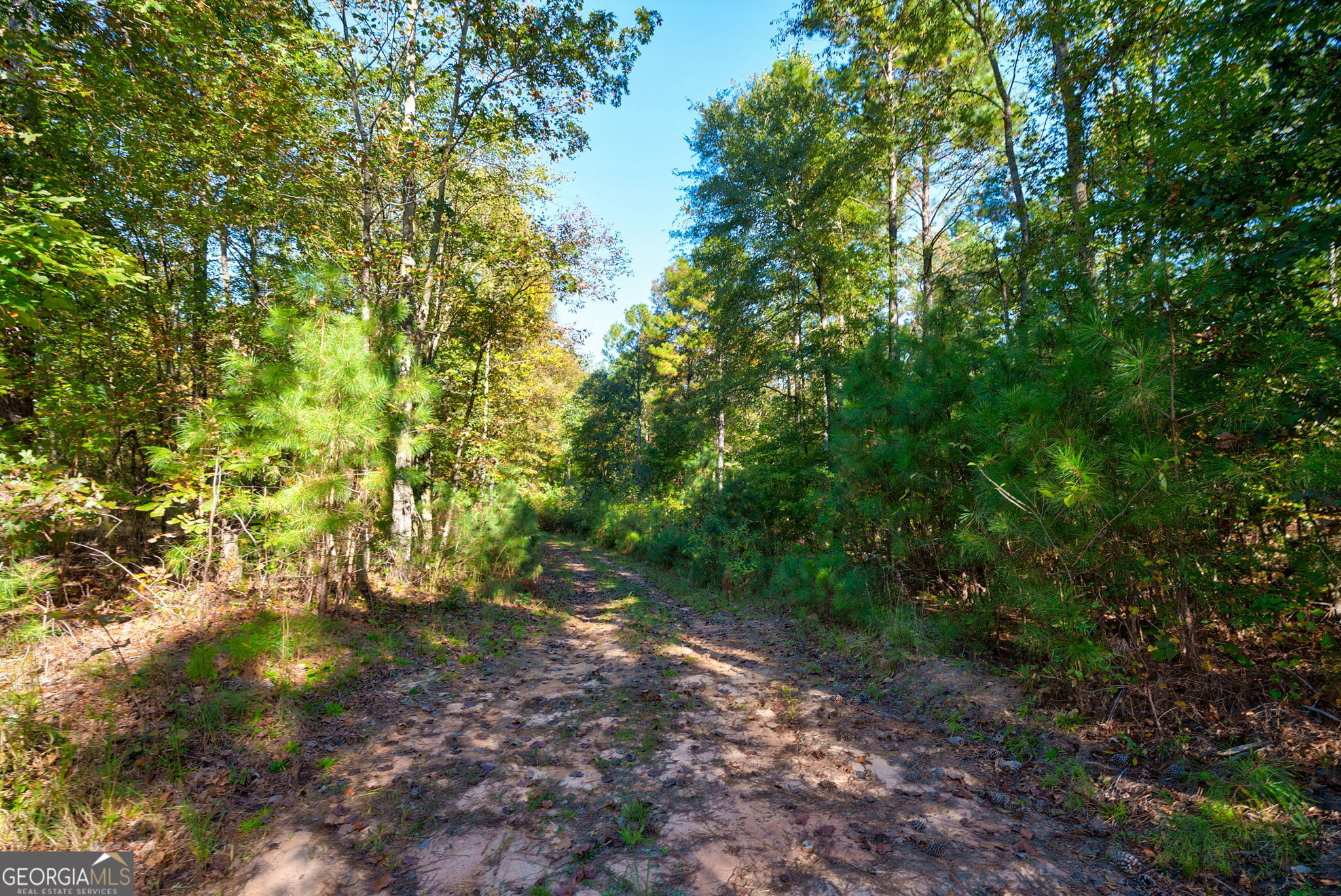 1 Bridges Road Carlton, GA 30627 - Photo 13 of 33
